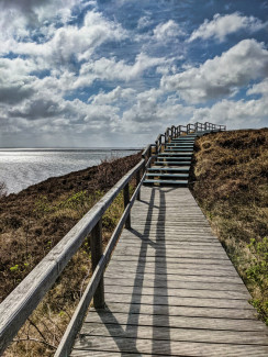 Naturschutzgebiet Braderuper Heide, Sylt